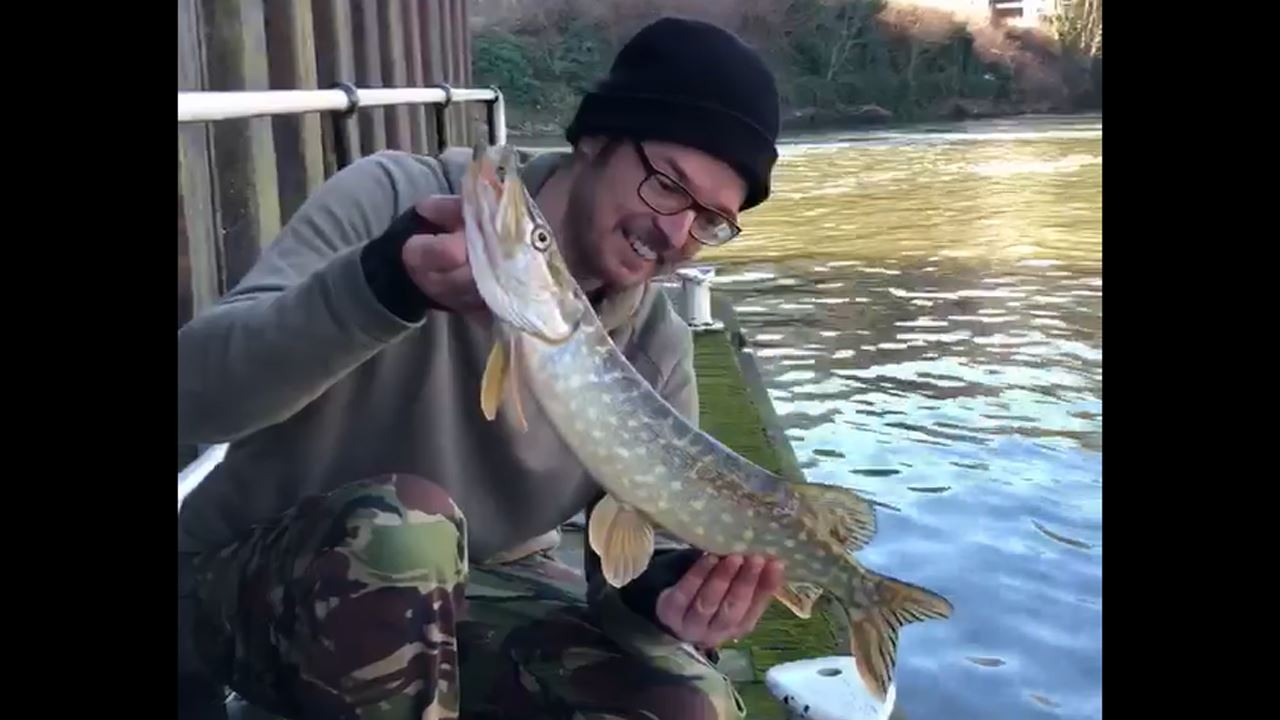 Pike caught from the River Avon at Weston Lock
