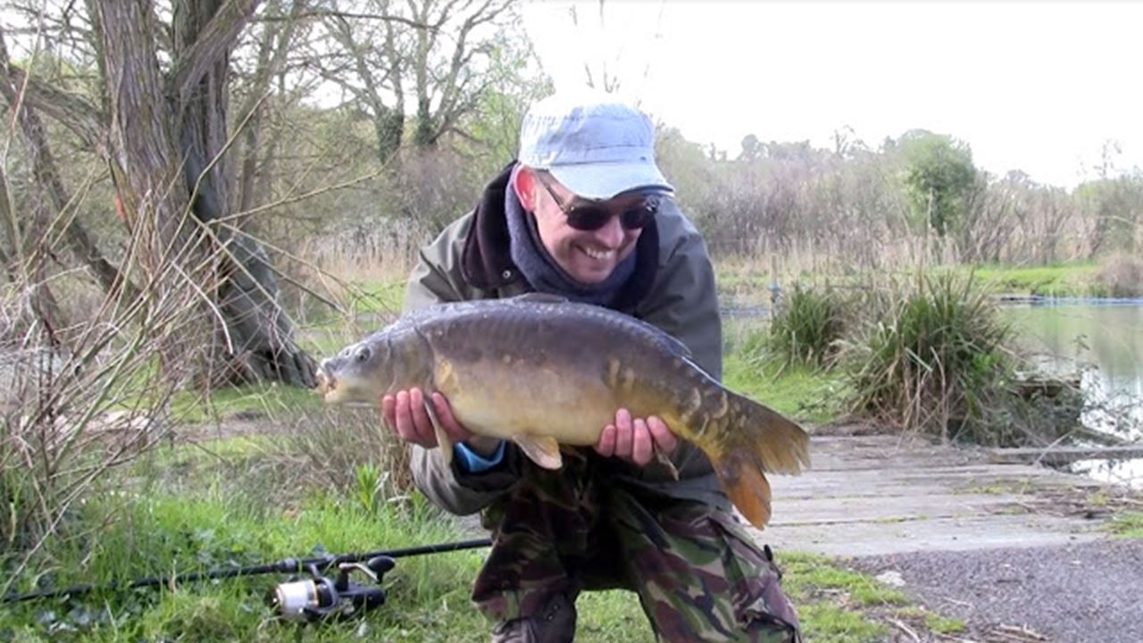 Mirror carp at Century Ponds