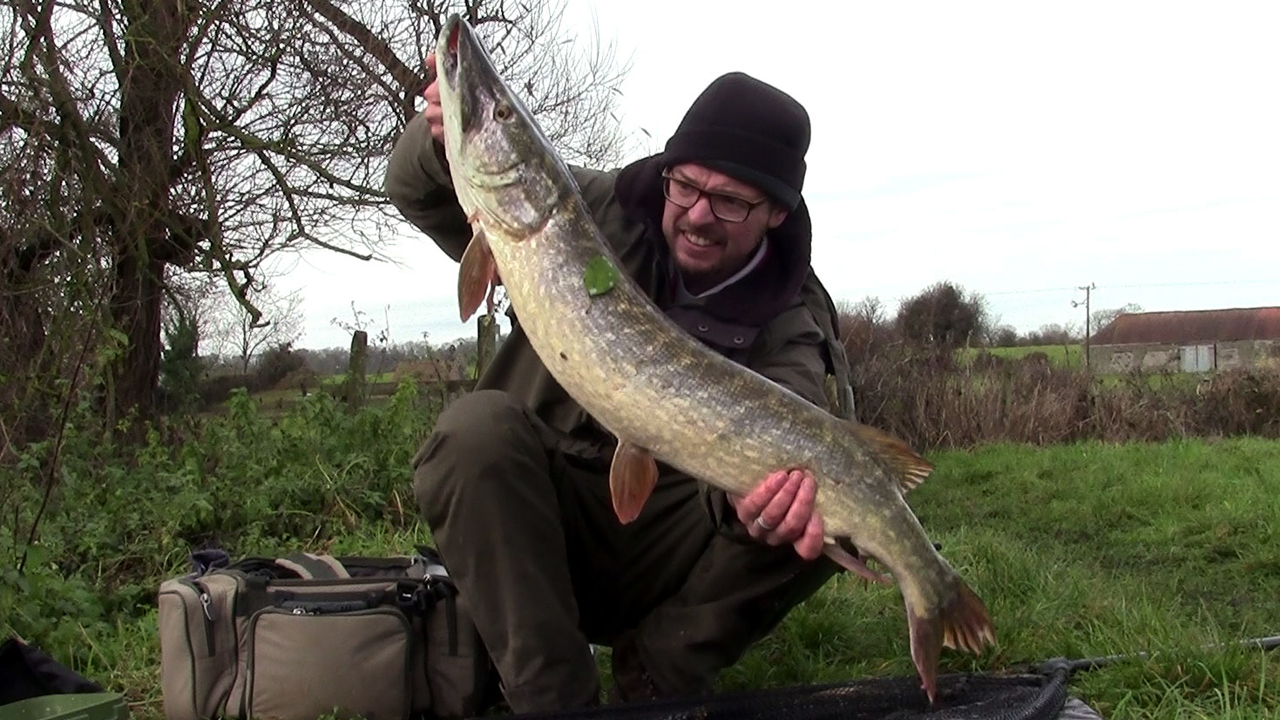 Monster 18lb Bristol River Avon pike!