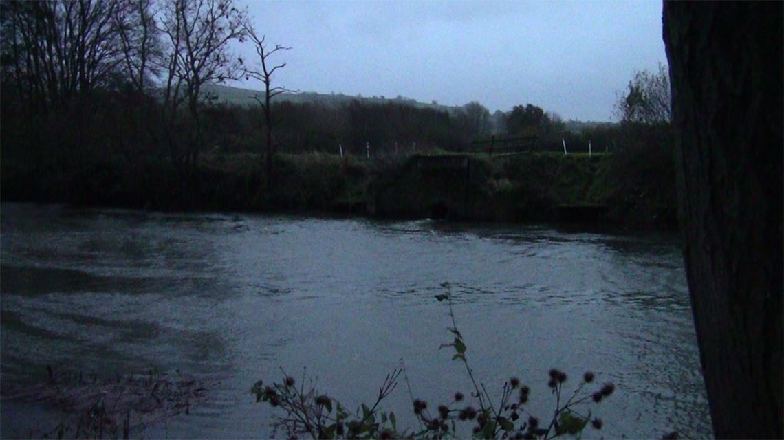 The outflow swim at Swineford