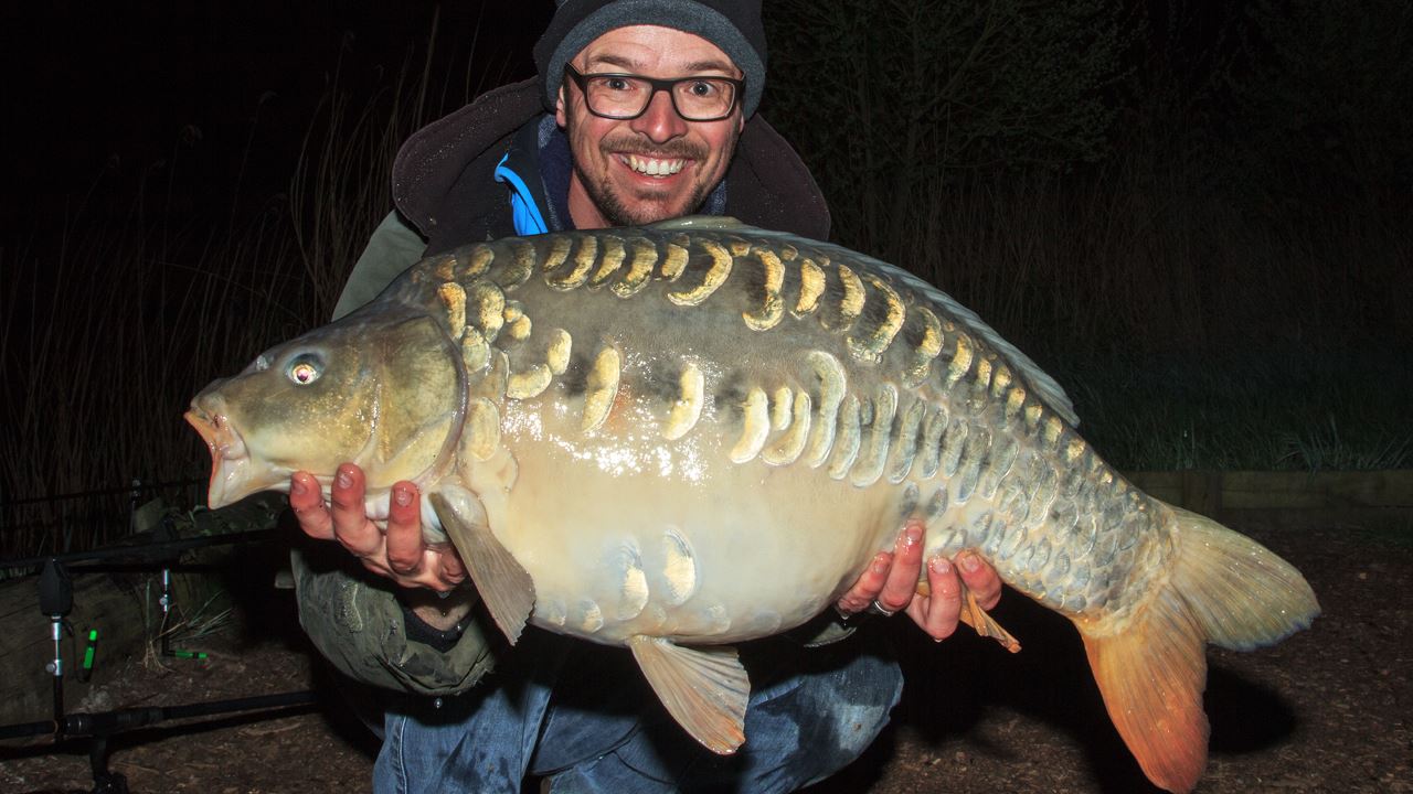 25lb mirror carp from Festival Fishery