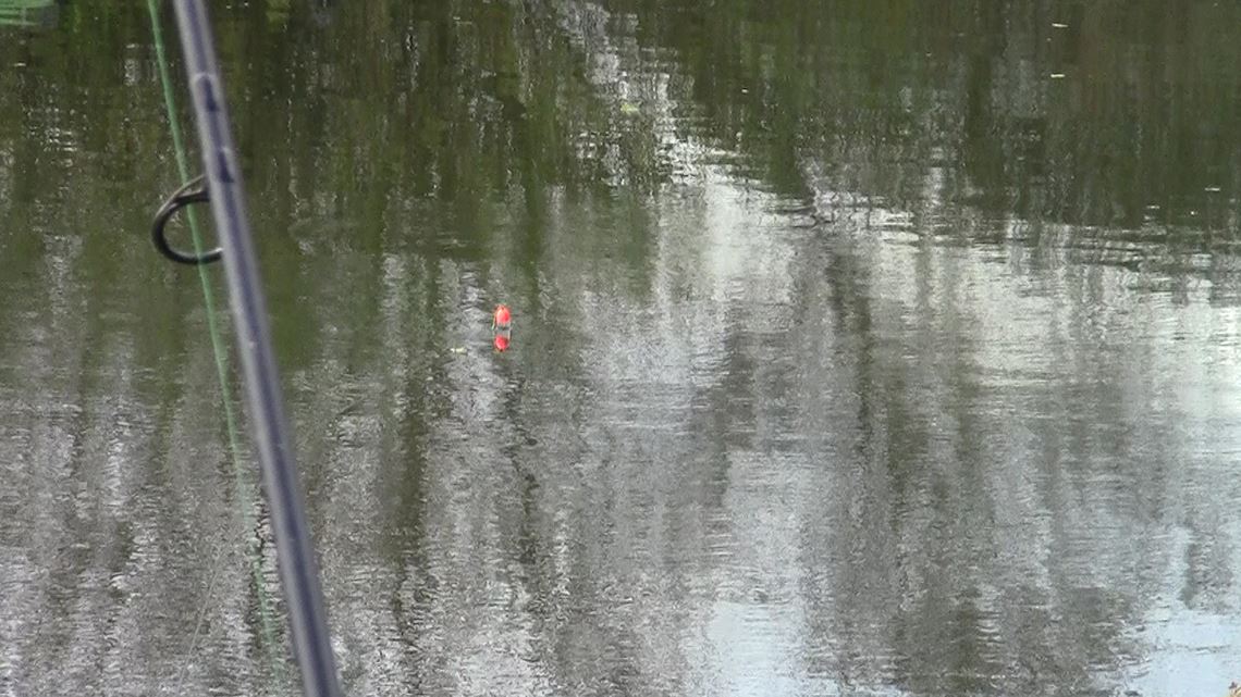 float-fishing-for-pike.jpg
