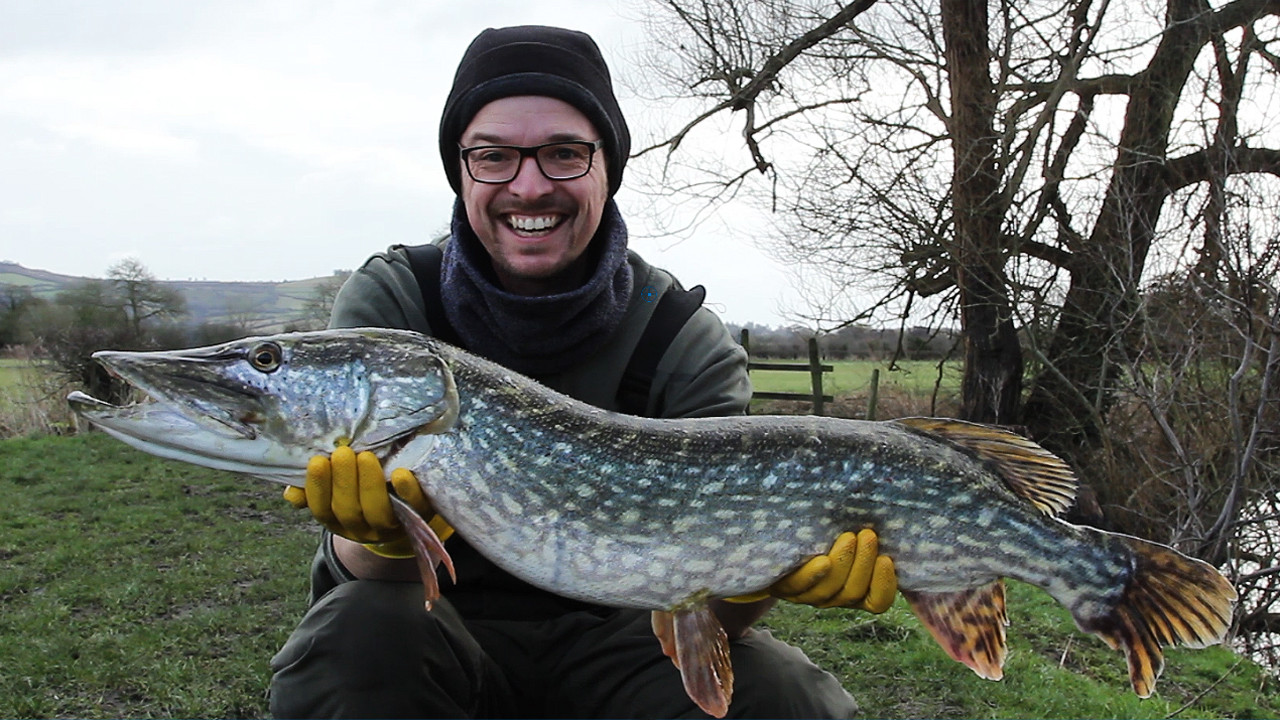 19lb Pike caught from the Bristol River Avon at Keynsham