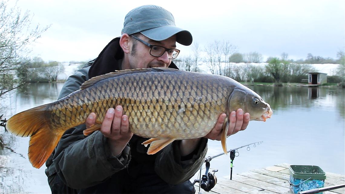 Common Carp caught from Follyfoot Fishery