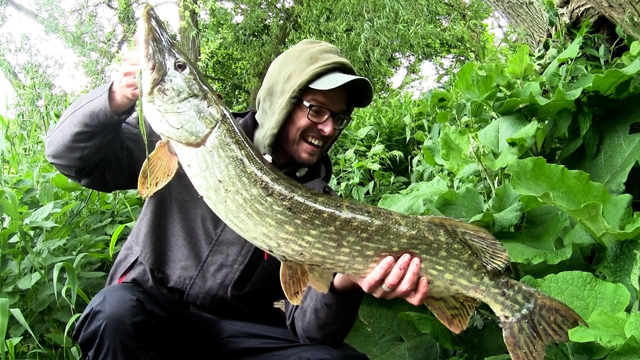 18lb Pike caught from the Bristol River Avon at Swineford