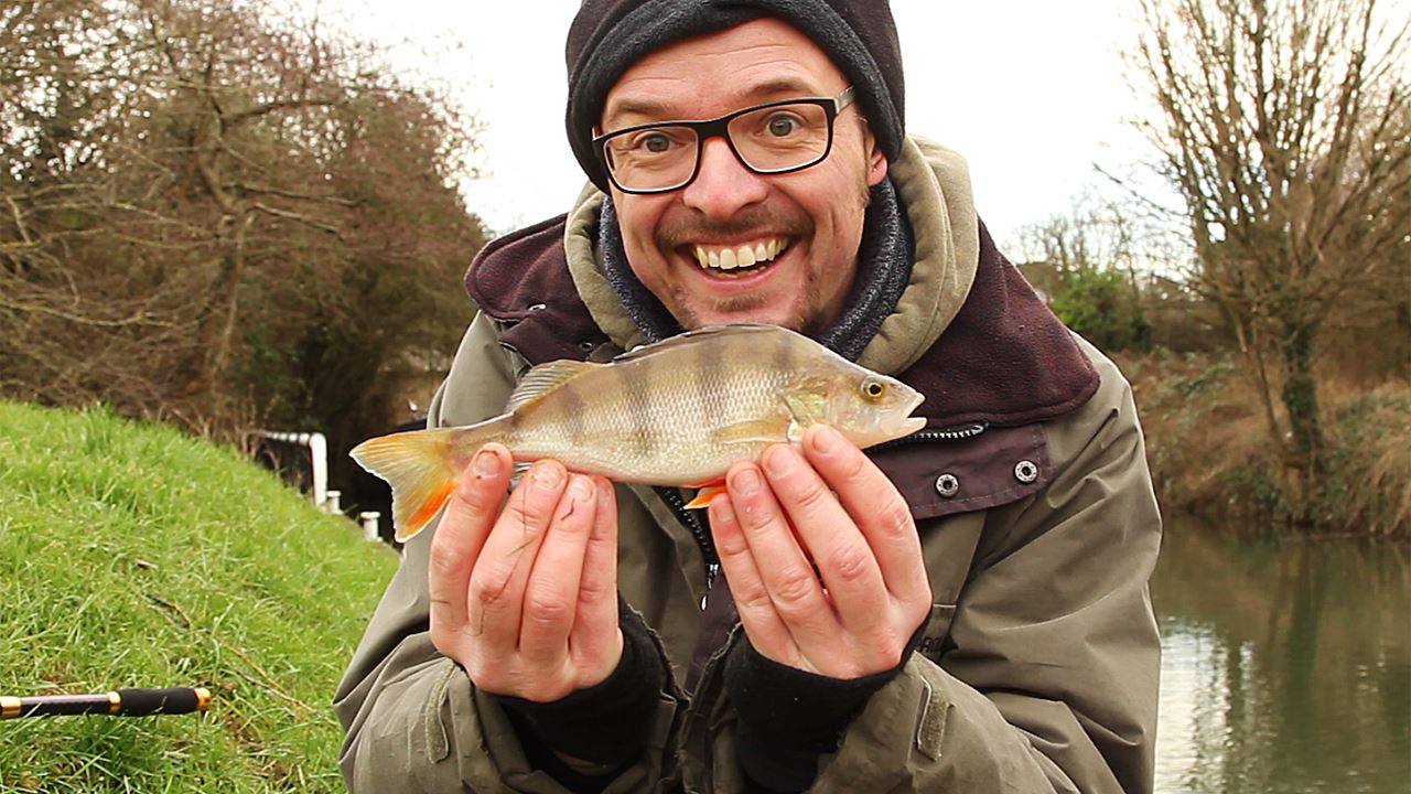 Perch caught on a lure at Keynsham Lock
