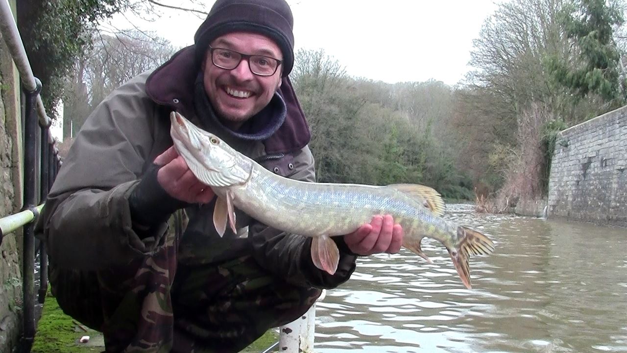 Pike caught from the River Avon at Weston Lock