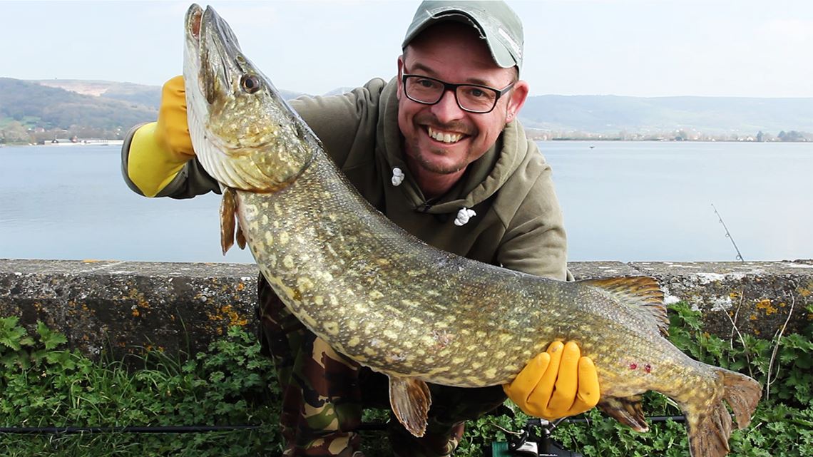 Pike caught from Cheddar Reservoir