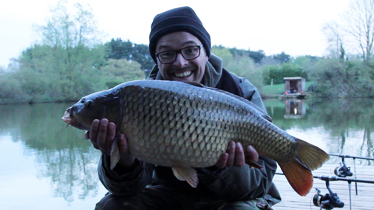 Common Carp caught from Follyfoot Fishery