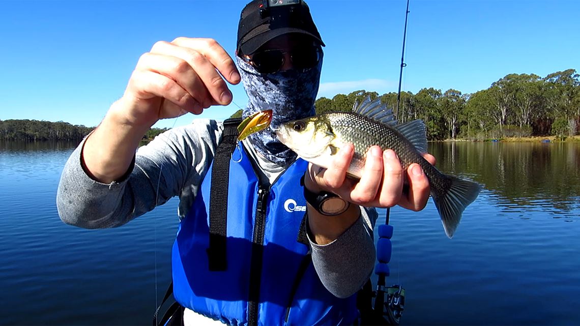 Australian Bass Caught At Lake Kurwongbah