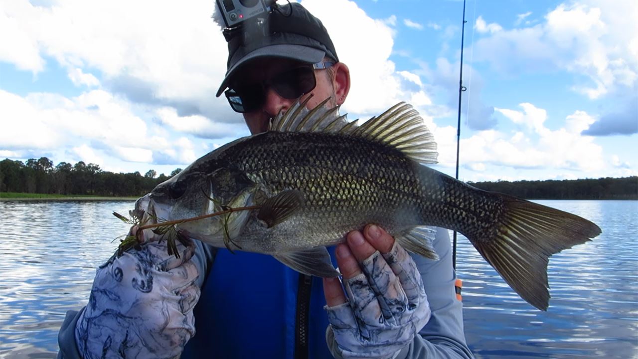 Bass Caught At Lake Kurwongbah