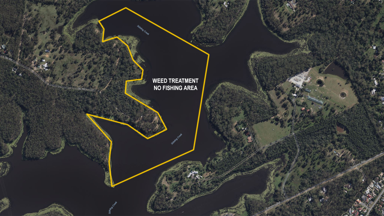 Weed treatment area at Lake Kurwongbah