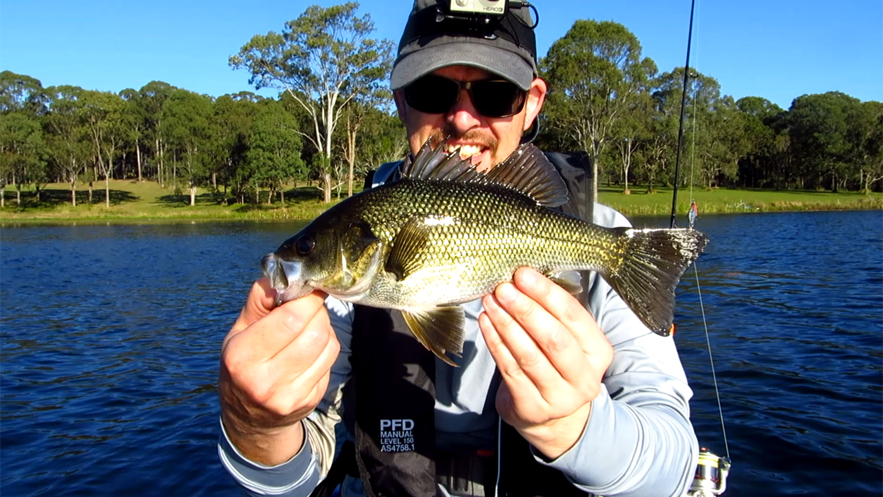 Bass caught at Lake Kurwongbah